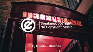 No Copyright Music Dj Quads  Blushes Lofi [upl. by Clayborne]