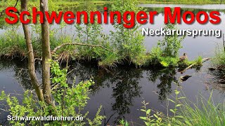 Schwenninger Moos Neckarursprung [upl. by Isayg]