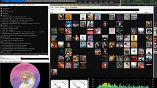 foobar2000 Theme  Discogs enhanced [upl. by Latrell813]