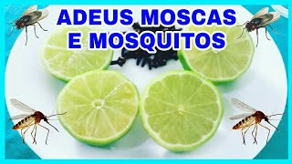 COMO ACABAR MOSCAS E MOSQUITOS Sem Veneno RECEITA INFALÍVEL [upl. by Alyt]