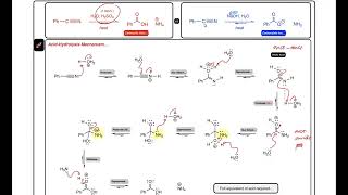 CADs Nitrile Hydrolysis Mechanisms – Acidic and Basic Hydrolysis Mechanisms [upl. by Beacham]