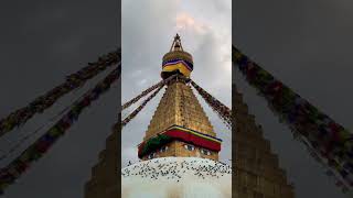 Boudha stupaNepal Tourist place short video peaceful mind environment [upl. by Saudra743]