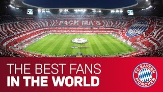 quotOur fans were simply louderquot  Best FC Bayern Tifos [upl. by Eelytsirk599]