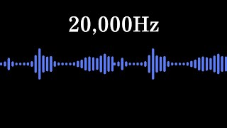 Mouse Repellent 20000Hz Sound 4 Hours Not Compatible with iPhone [upl. by Leanatan]