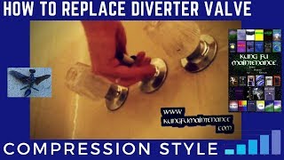 How To Replace Diverter Valve  Compression Style Tub To Shower [upl. by Titus868]