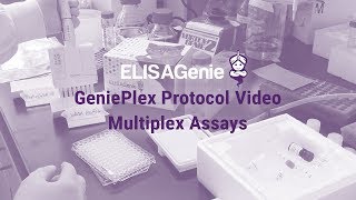 GeniePlex Multiplex Assay Protocol  Assay Genie [upl. by Jordana259]