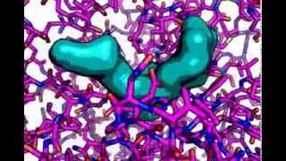 Alphaamylase bound to a polysaccharide analog [upl. by Londoner]