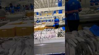 Dubais BEST Waterfront Fish Market Experience EXPOSED [upl. by Llirrehs]