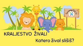 KRALJESTVO ŽIVALI  Katero žival slišiš  Kako se živali oglašajo  Ugani zvok živali  Glas živali [upl. by Jarret]