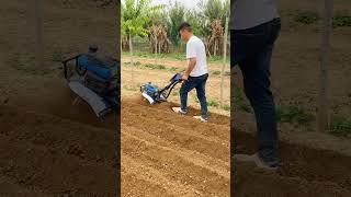 8hago hillside hilly land orchard greenhouse corn field rotary tillage machine weeding machine [upl. by Annavaig]