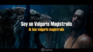 Vulgaris Magistralis Heidevolk Sub español amp lyrics [upl. by Ahsiekan]