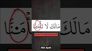 Learn this unique pronunciation for this Ayah tajweed learntajweed learnquran arabic101 [upl. by Jemy]