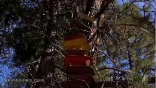 Cle Elums Wheelbarrow Tower [upl. by Ardeid920]