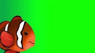 Green Screen Nemo [upl. by Bergh]