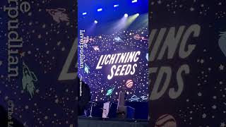 The Lightning Seeds Live At Eurovision Village In Liverpool  The Liverpudlian [upl. by Bertrando]