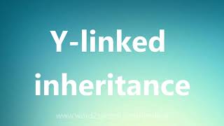 Ylinked inheritance  Medical Meaning and Pronunciation [upl. by Alehcim280]