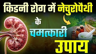 किडनी की बीमारी से निजात पाने के प्राकृतिक तरीके  Naturopathy Treatment for Kidney Failure Hindi [upl. by Hanimay135]