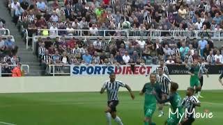 Dele Alli goal vs Newcastle 1819 [upl. by Tahpos]