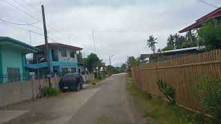 Brgy Monitoring  Brgy Tabunok Hilongos Leyte [upl. by Uyr]