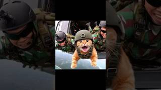 army cat flying in the world 🌎foody cat enjoyment in life YouTube viral vedioe [upl. by Packston]