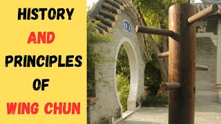 5 Historical Principles of Wing Chun [upl. by Aekahs647]