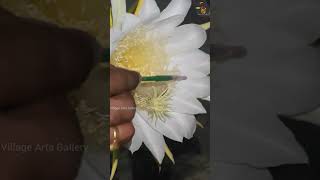 Dragon fruit pollination song dhanush tamil arrahamanmusic [upl. by Westfall]