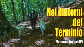 Nei dintorni del Terminio  Volturara Irpina AV [upl. by Alduino]