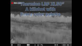 Thermion XL50 color palette compilation 8 Killshots [upl. by Llerdna]