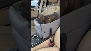 A center console pet seat 🤩 pet pets dog dogs shorts [upl. by Tomi]