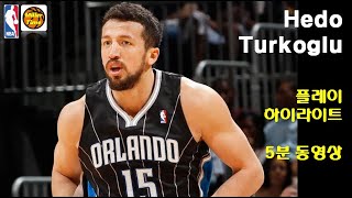 하이라이트 영상 Orlando Magic Hedo Turkoglu Highlights [upl. by Irahs]