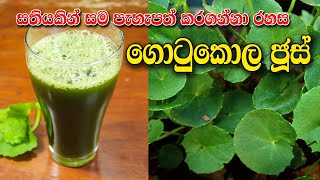 සතියකින් සම පැහැපත් කරන ගොටුකොළ ජූස්  Healthy Gotu Kola Juice [upl. by Prissy]