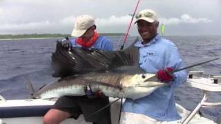 Fishing Seychelles 2010  wwwbluewaterfishingeu [upl. by Bernarr15]