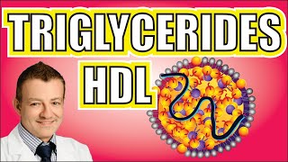 Triglyceride to HDL Ratio Matter Americas Cardiologist Explains [upl. by Bovill]