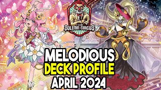 YuGiOh Melodious Deck Profile April 2024 [upl. by Ynnaj]