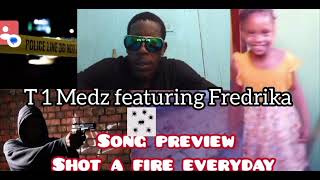 Shot a fire Song preview T 1 Medz featuring Fredrika [upl. by Drazze]