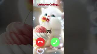 catcalling ringtone nadaderingtelepon cute [upl. by Finley]