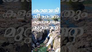 Kaveri theerathe … കാവേരി തീരത്തെ …  Lyrics 🎵  Malayalam [upl. by Ahgem]