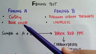 Fehlings test for carbohydrates  fehling solution A and B  test for carbohydrates  fehlings test [upl. by Anahsed]