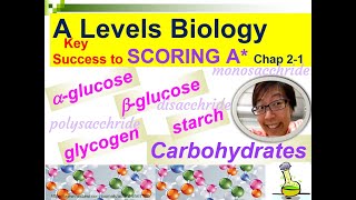 Carbohydrates Glucose Maltose Starch Glycogen  Lesson 21  YH HO [upl. by Aninahs]