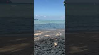 andaman reshat beach song music [upl. by Thurlow]