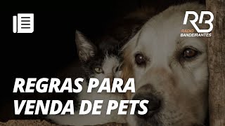 Alesp aprova projeto que prevê novas regras para venda de pets  Manhã Bandeirantes [upl. by Olwen587]