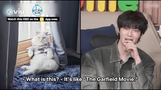 Ahn Jae Hyun Lives With His 10yearold Cat Anju Who Behaves Like A Human 🤣  I Live Alone [upl. by Archibold300]