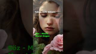 Yaban Gülü Gibisin music müzik müzik nostalji nostaljişarkılar song songs cover coversong [upl. by Stoddard943]