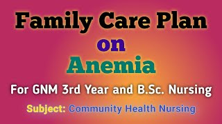 Family Care Plan on Anemia  Community Health Nursing  CHNII  GNM 3rd Yr  BSc Nursing 4th Year [upl. by Thgiled]