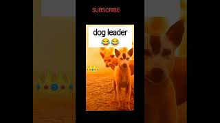 Dog attack 😂😂 funny trending funny ytshorts funnymemes [upl. by Aikas]