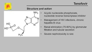 Pharmacology of Tenofovir  Clinical uses Mechanism of action Absorption Side effects [upl. by Ayotnahs]