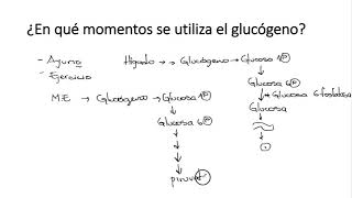 Glucogenólisis y glucogénesis Bioquímica [upl. by Nylrad756]