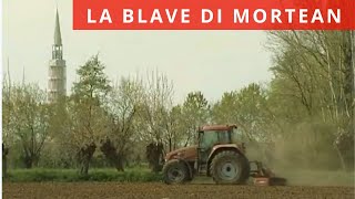 Mortegliano la blave di Mortean farina di mais per polenta [upl. by Eedna136]