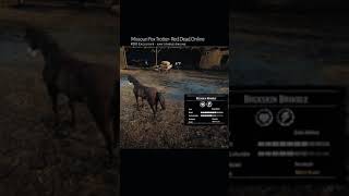 RDR2 • All Missouri Fox Trotter Horse Colors and Locations • Red Dead Redemption 2 [upl. by Arda]