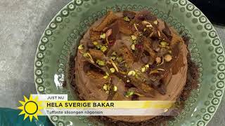 Många nervösa skratt i Hela Sverige bakar – quotvi har blivit strängarequot  Nyhetsmorgon TV4 [upl. by Nevek127]